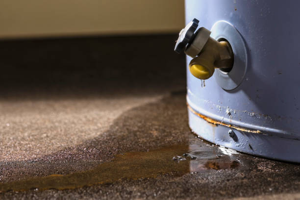 Professional Water damage restoration in Shanor Northvue, PA